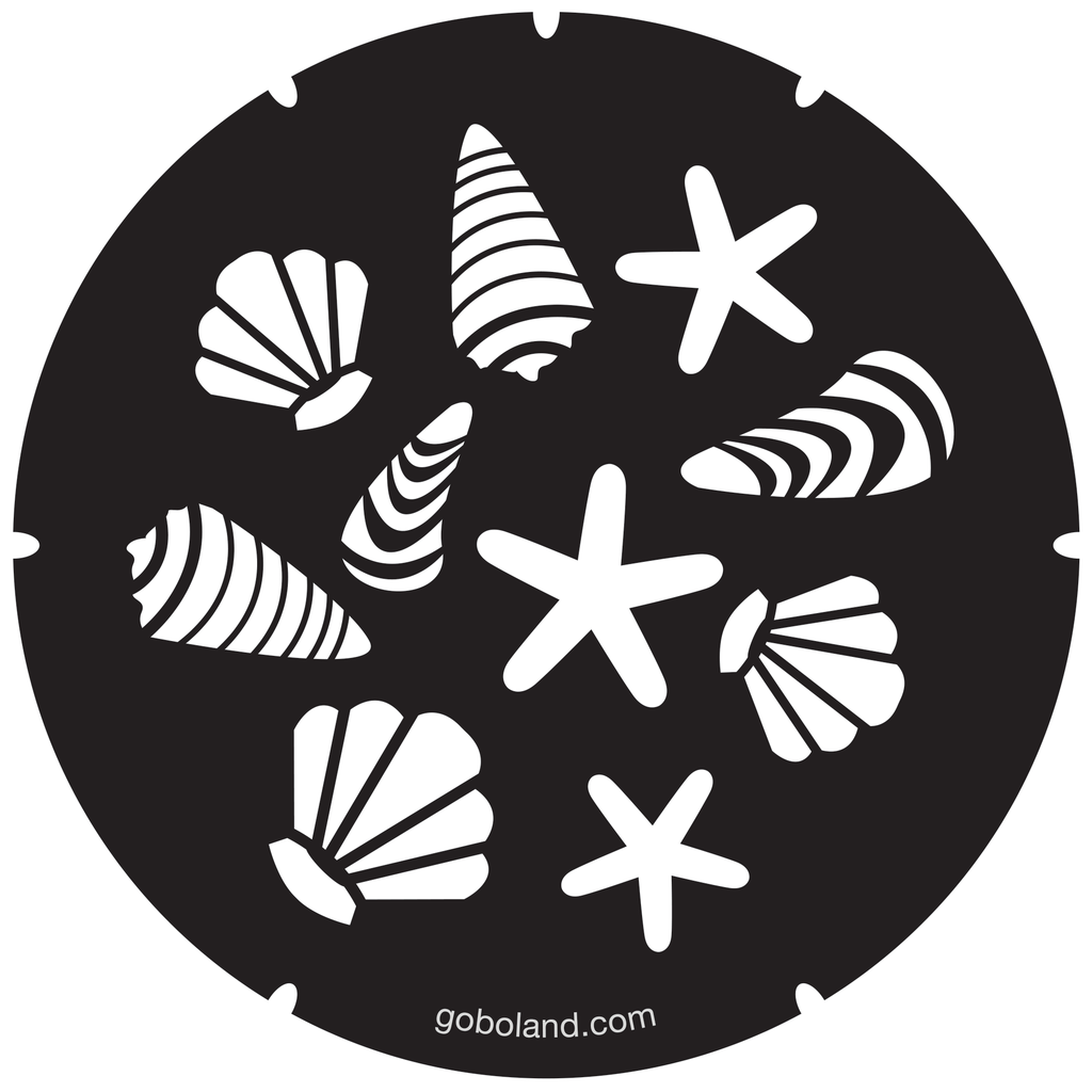 2 250 031 - Sea Shells 2