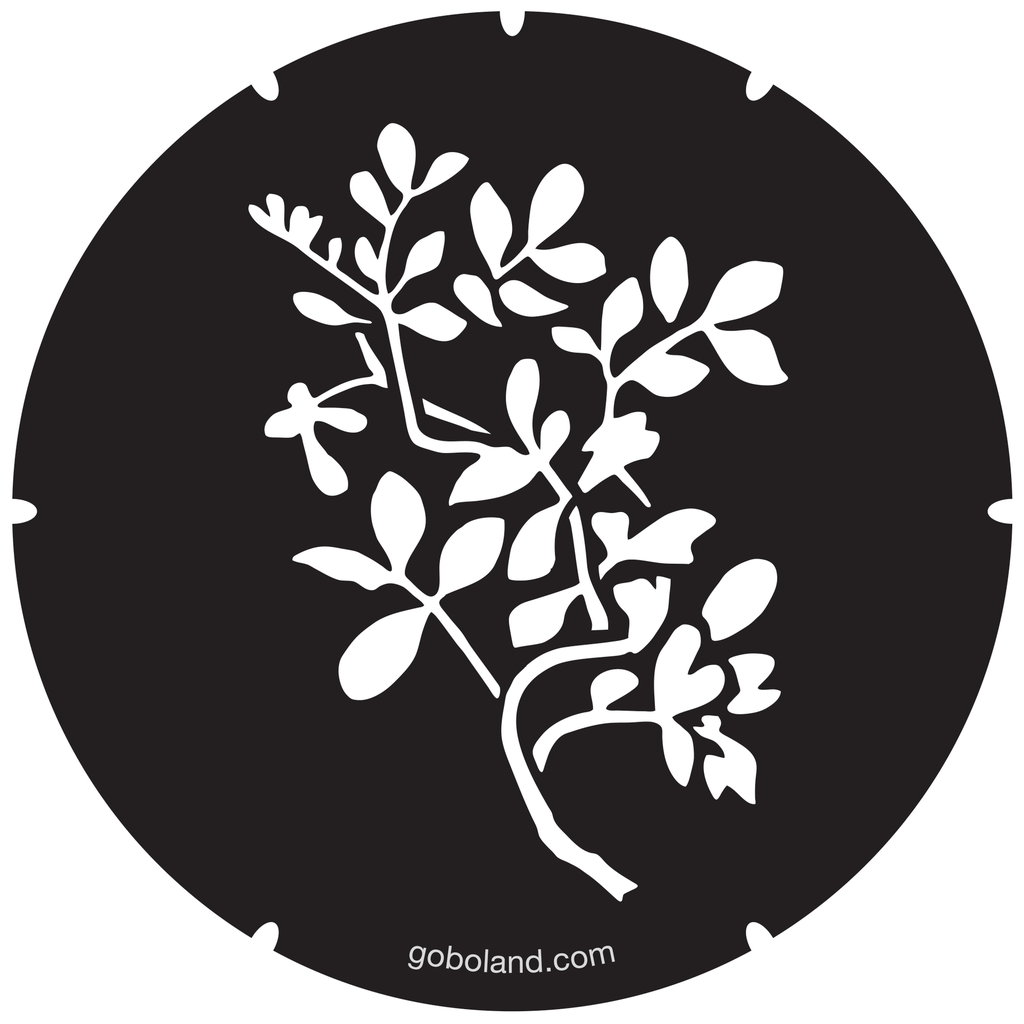 2 260 018 - Leaves 4 Lee