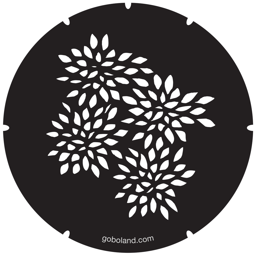 2 260 027 - Ficus Leaves