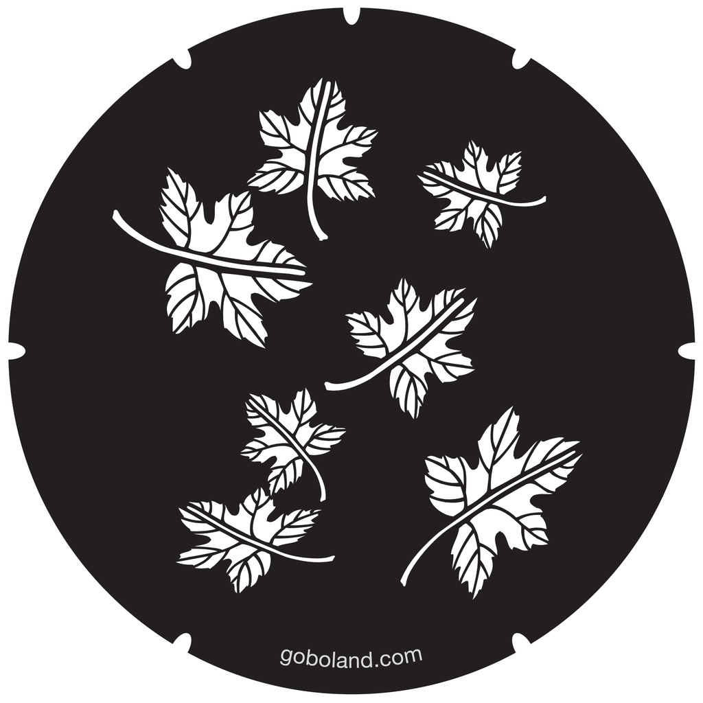 2 260 040 - Fallen Leaves