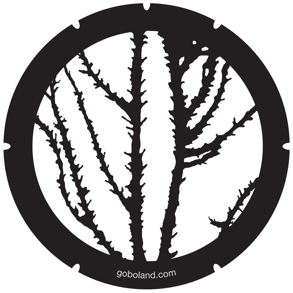 2 260 041 - Thornbush