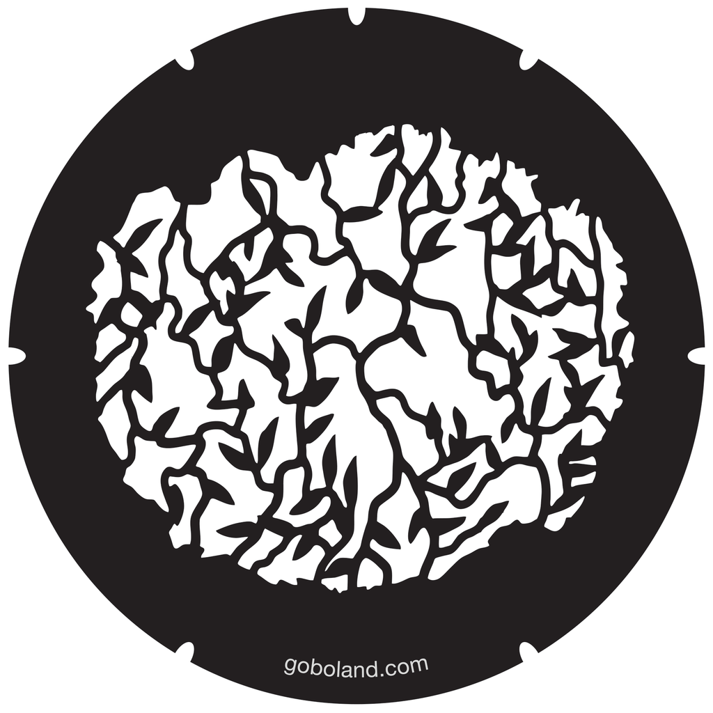 2 260 043 - Vines