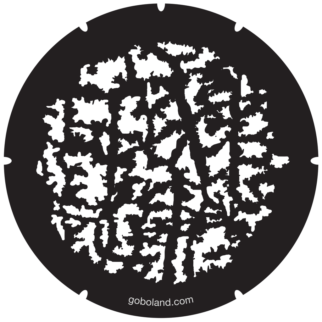 2 260 047 - Forest Branches