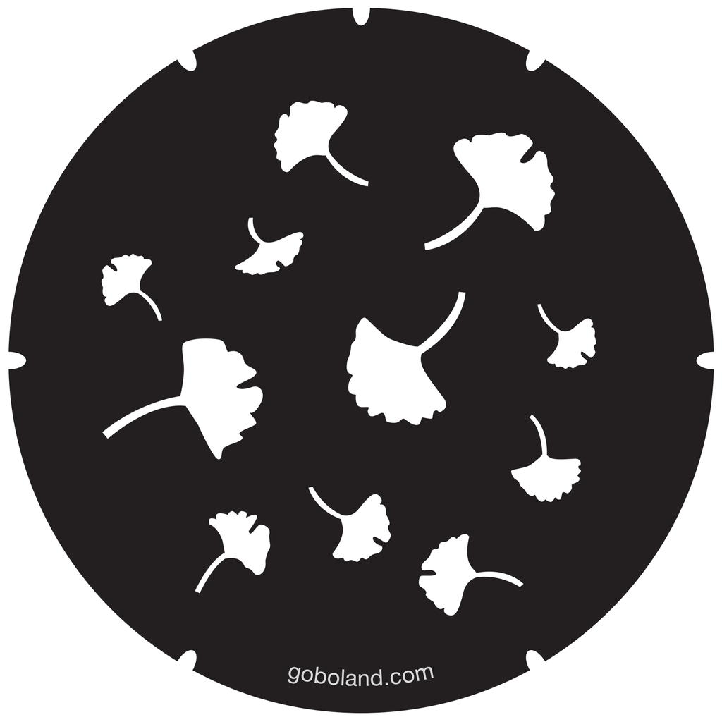 2 260 055 - Japanese Ginkgo Leaves-Icyou