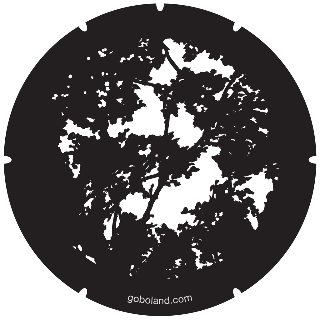 2 280 001 - Dappled Light 1