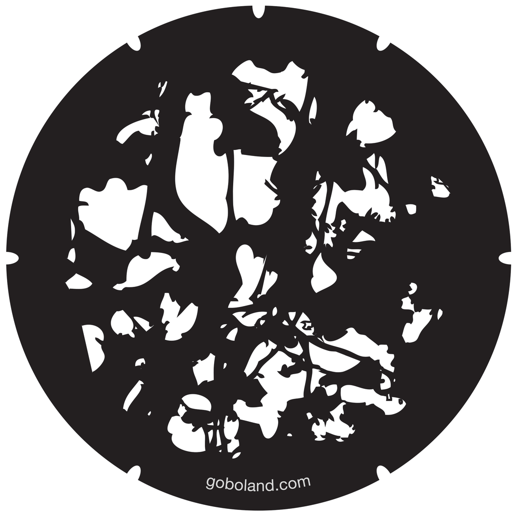 2 280 005 - Dappled Light 5