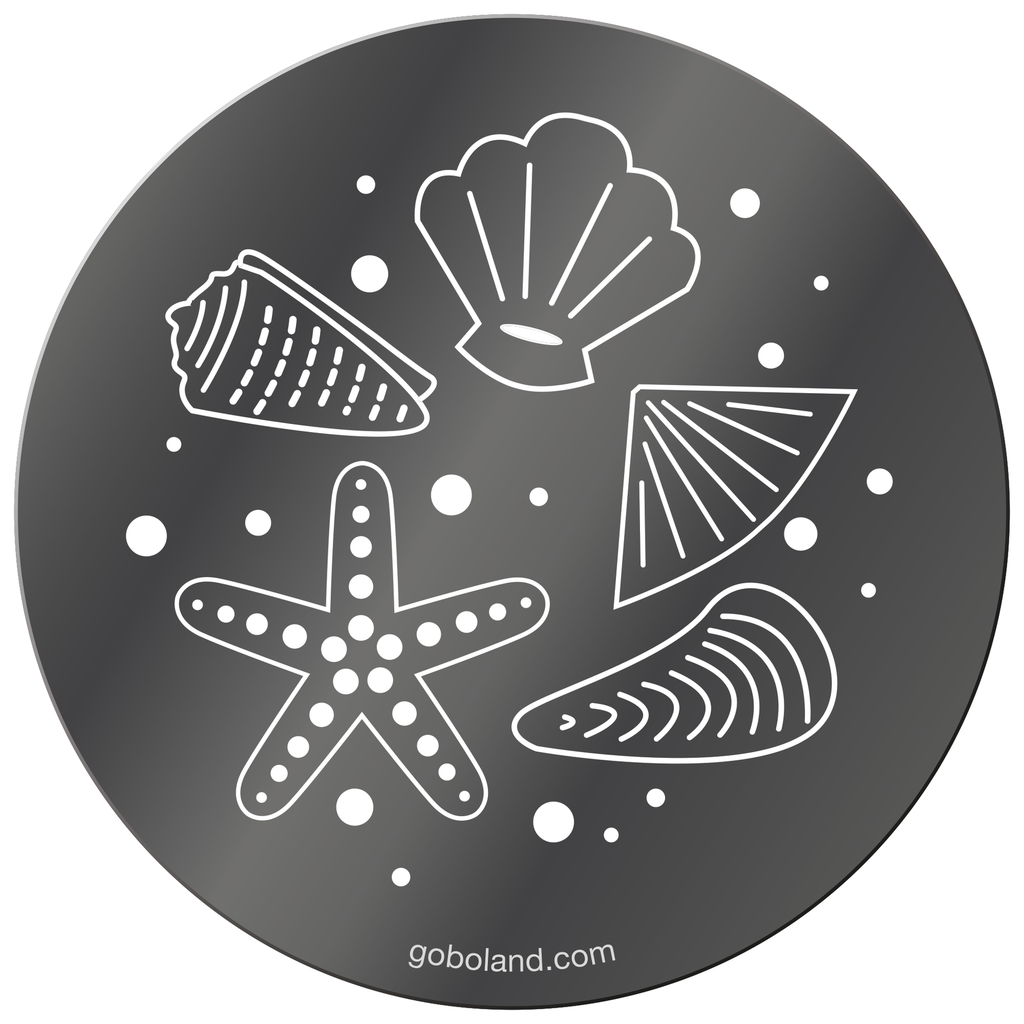 1 250 030 - Sea Shells 1