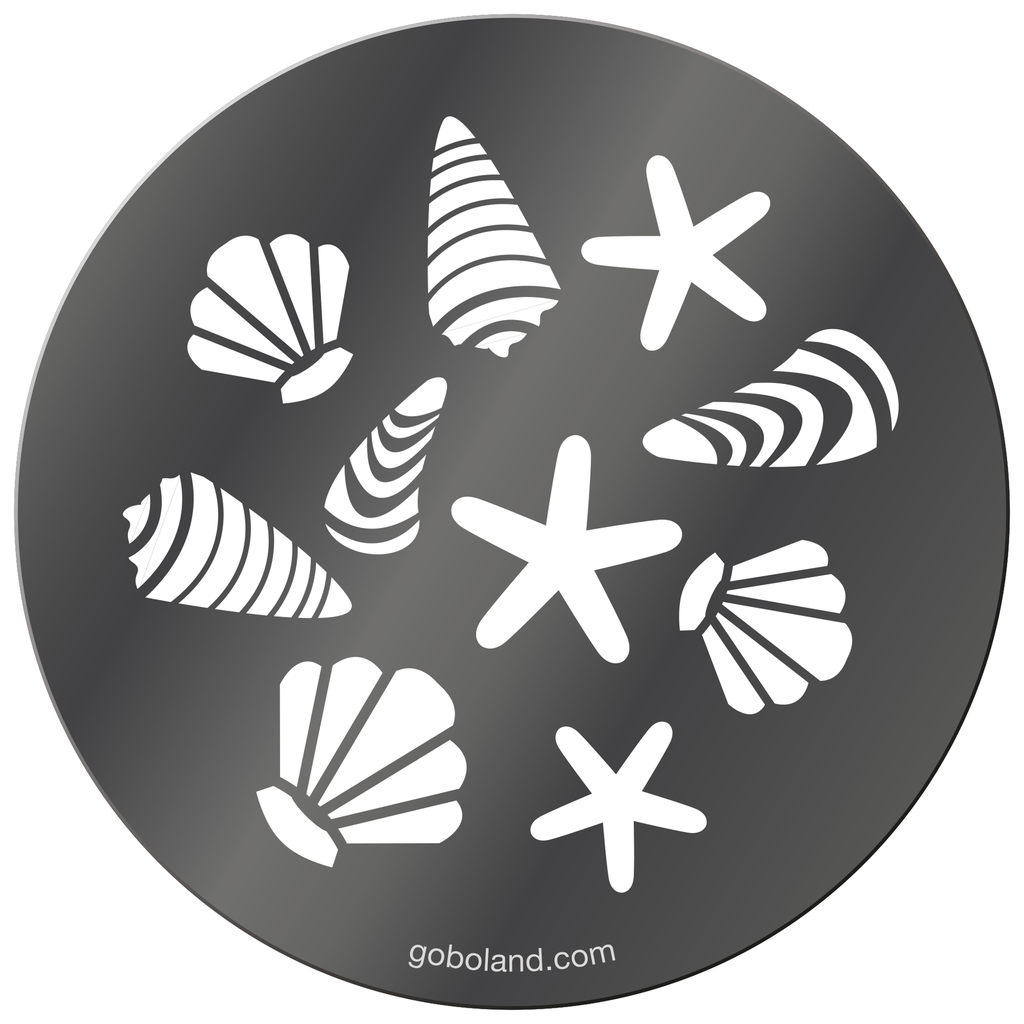 1 250 031 - Sea Shells 2