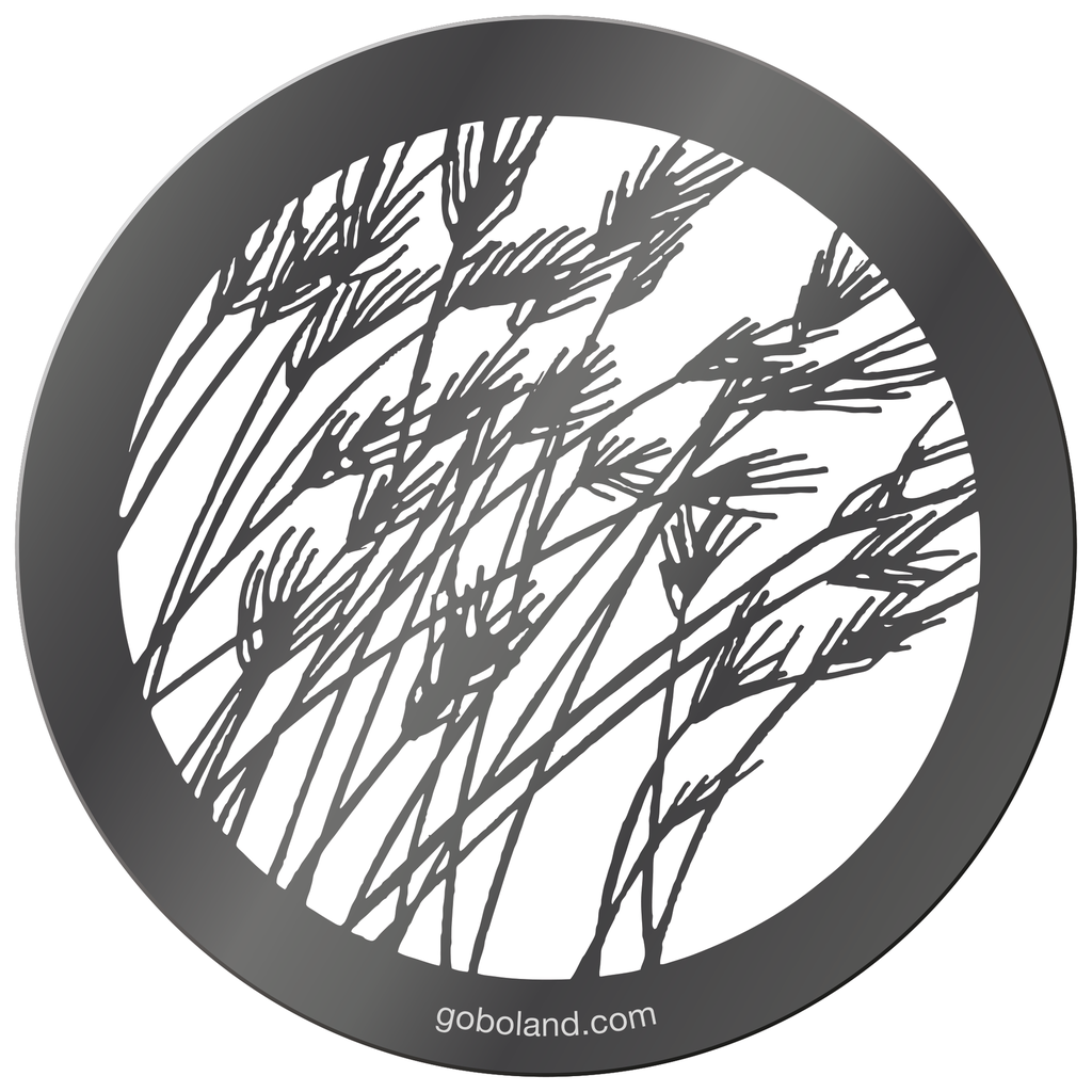 1 260 049 - Barley