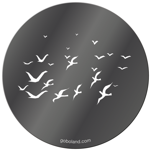 1 250 005 - Flock Of Birds