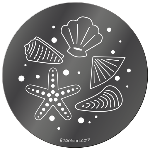 1 250 030 - Sea Shells 1