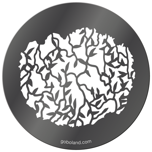 1 260 043 - Vines