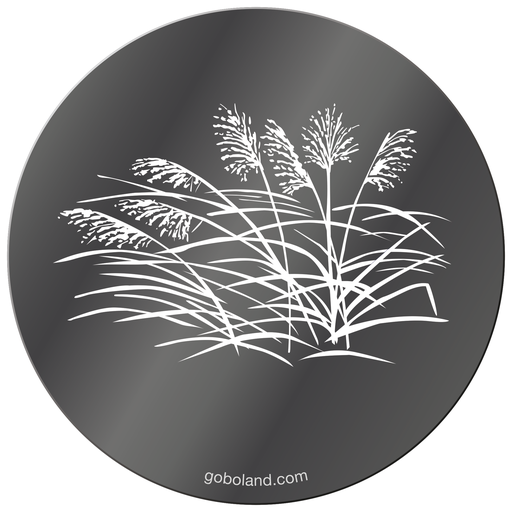 1 260 054 - Japanese Grass 2-Susuki