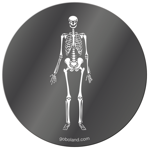 1 435 020 - Skeleton