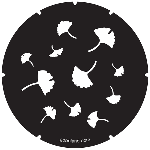 2 260 055 - Japanese Ginkgo Leaves-Icyou